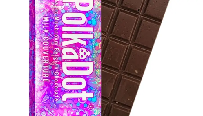 Polka dot Mushroom chocolate bar(milk couverture)